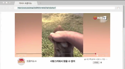 요즘이슈_01_동물_사랑스러워서 참을 수 없어